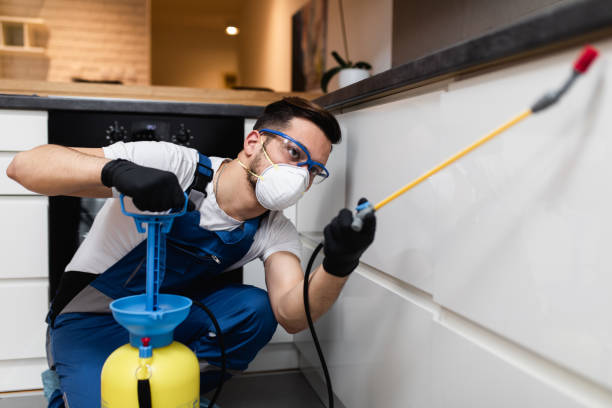 Wasp Removal Services in Westby, WI