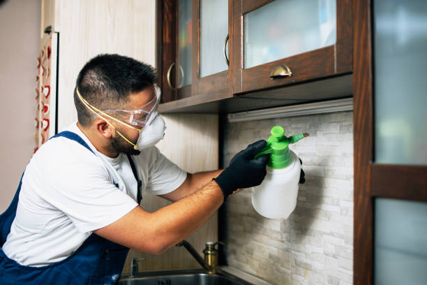 Best Affordable Pest Control Services  in Westby, WI