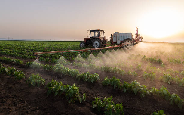 Best Pest Prevention Services  in Westby, WI