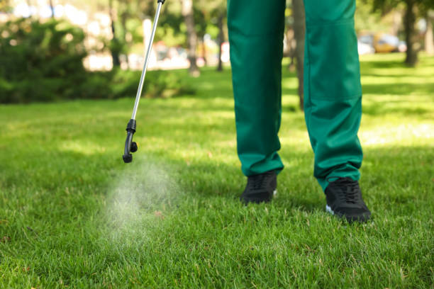 Best Pest Removal Services  in Westby, WI