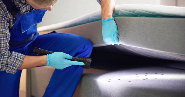 Best Mosquito Control Services  in Westby, WI