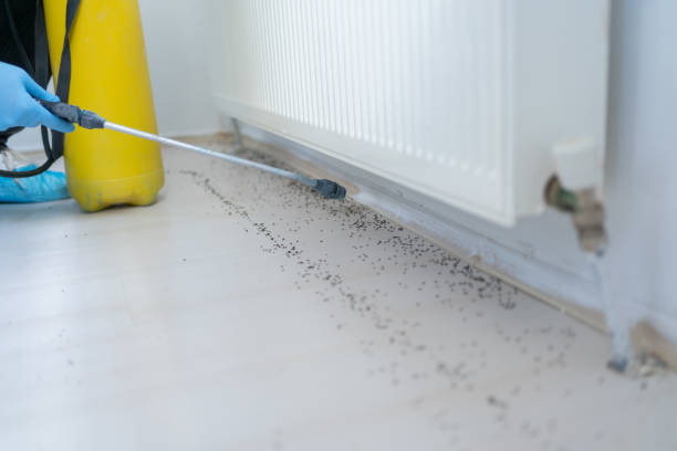 Professional Pest Control in Westby, WI