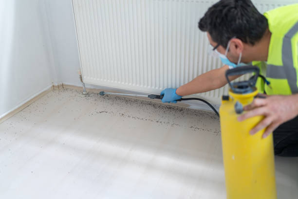 Best Pest Control Near Me  in Westby, WI